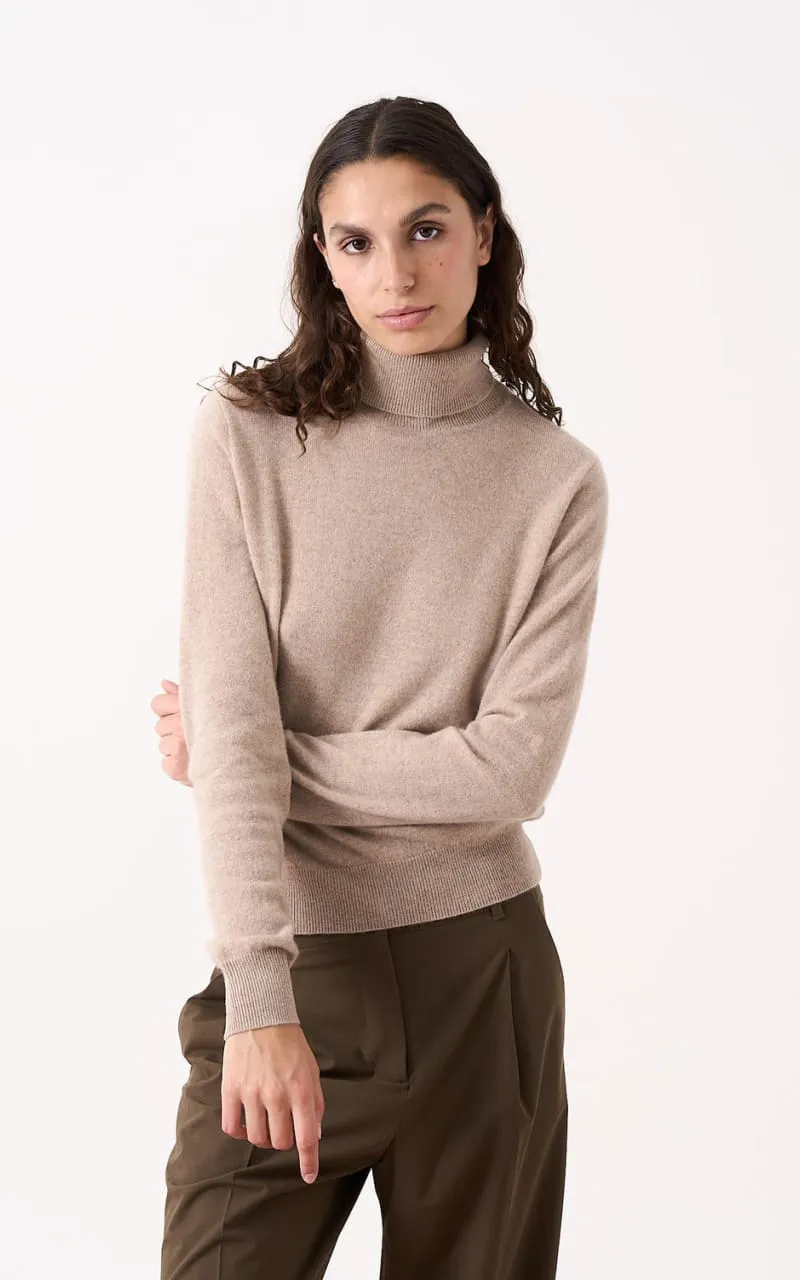 Absolut Cashmere- Themys Turtleneck Sweater