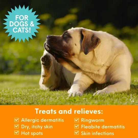 Antimicrobial Medicated Shampoo for Dogs & Cats