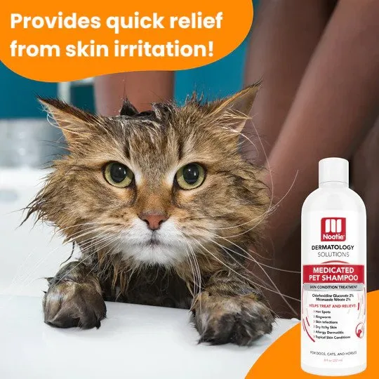 Antimicrobial Medicated Shampoo for Dogs & Cats