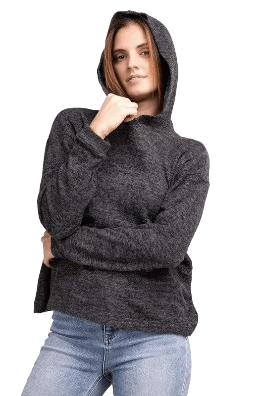 Hooded Brushed Melange Hacci Sweater