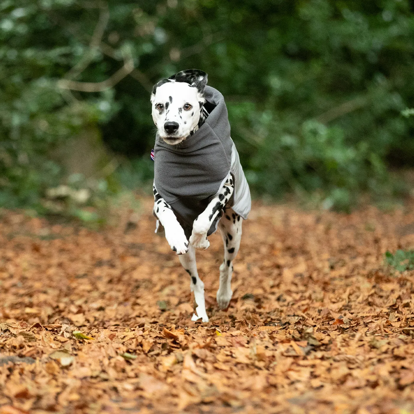 Hugo & Hudson Thermal Self Heating Grey Dog Jacket