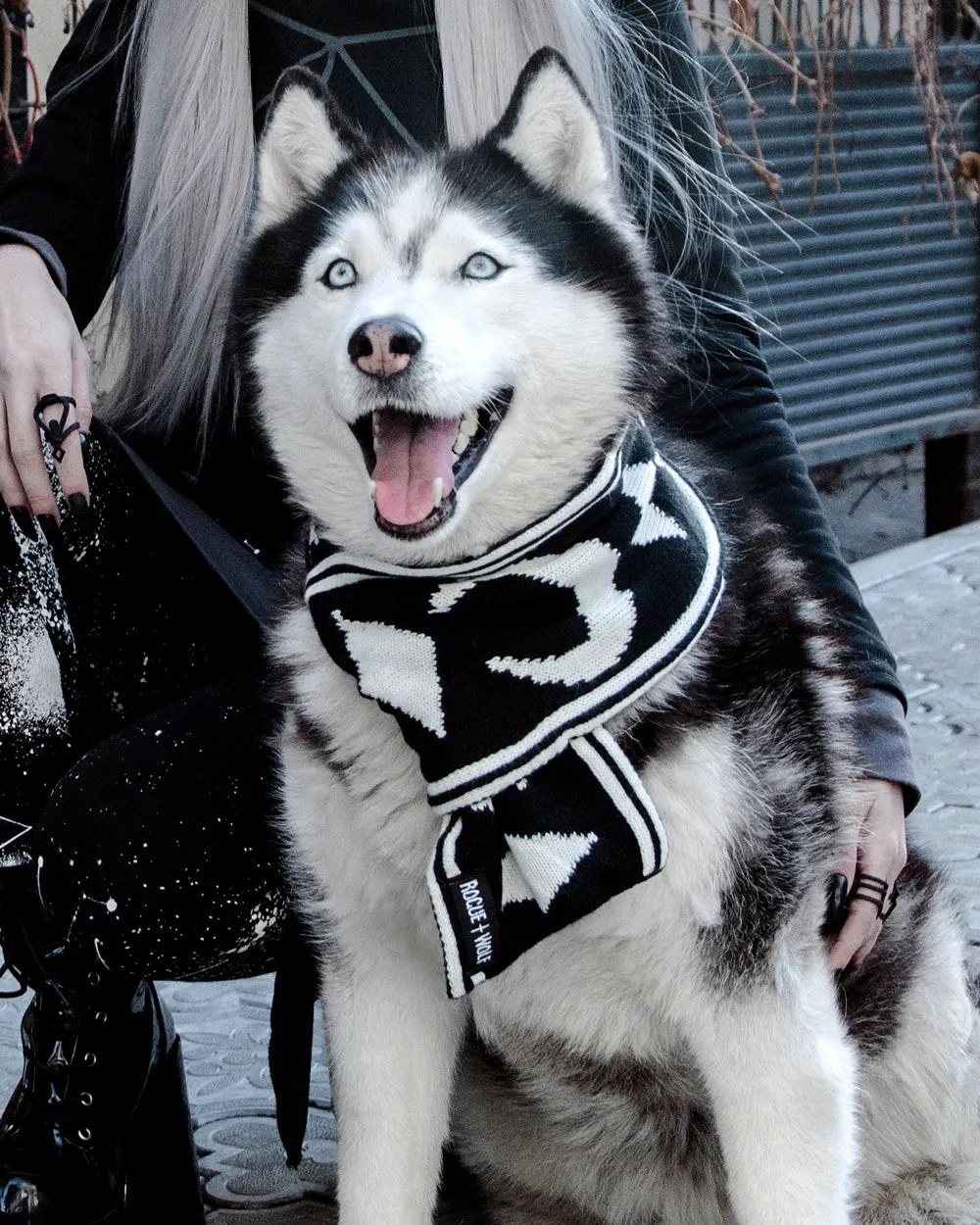 Moon Pupper Scarf - Dog or Cat