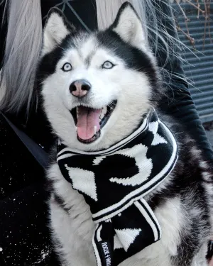 Moon Pupper Scarf - Dog or Cat