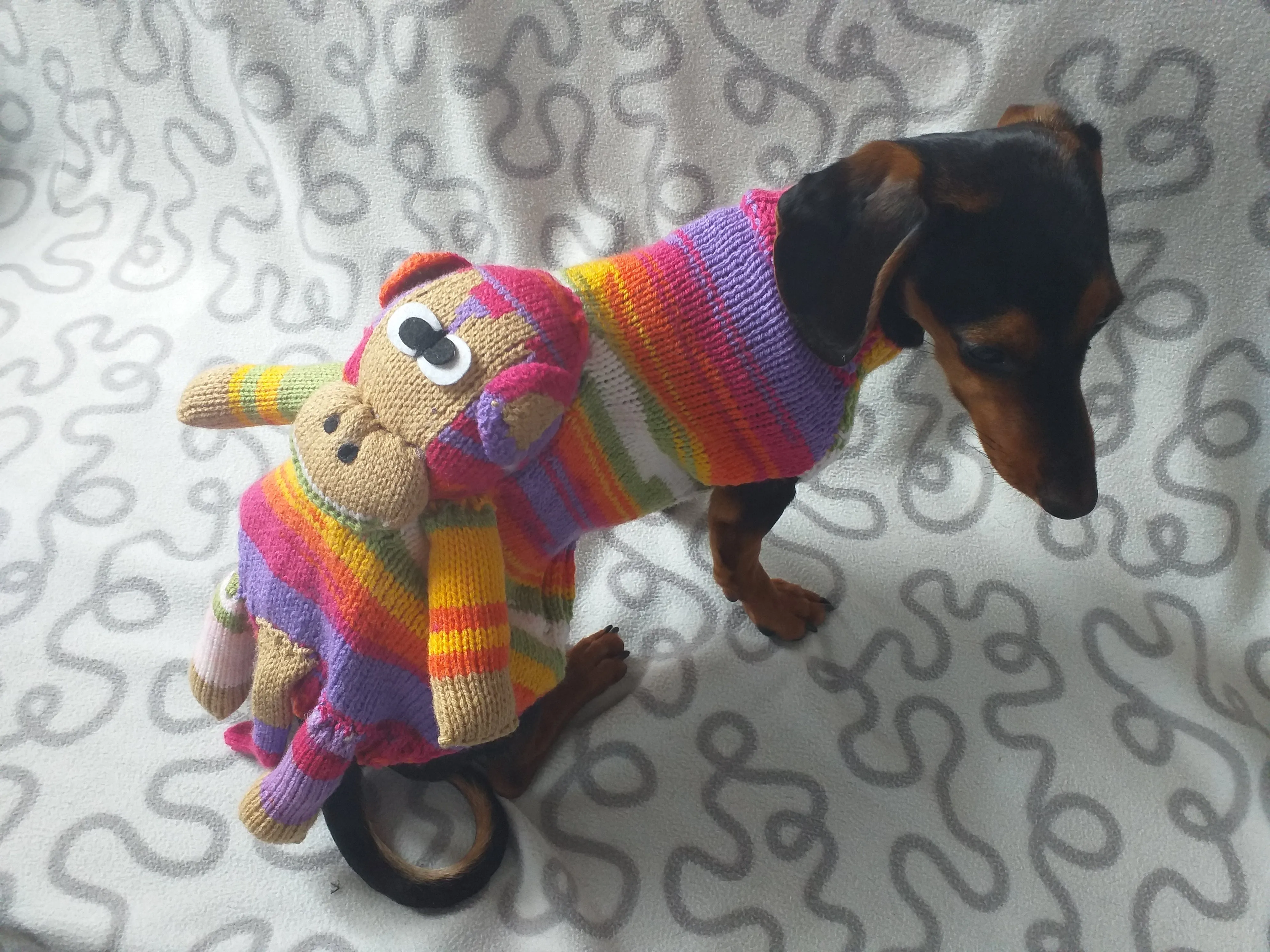 Pet clothes costume with toy monkey, dog sweater monkey, jumper for dachshund monkey