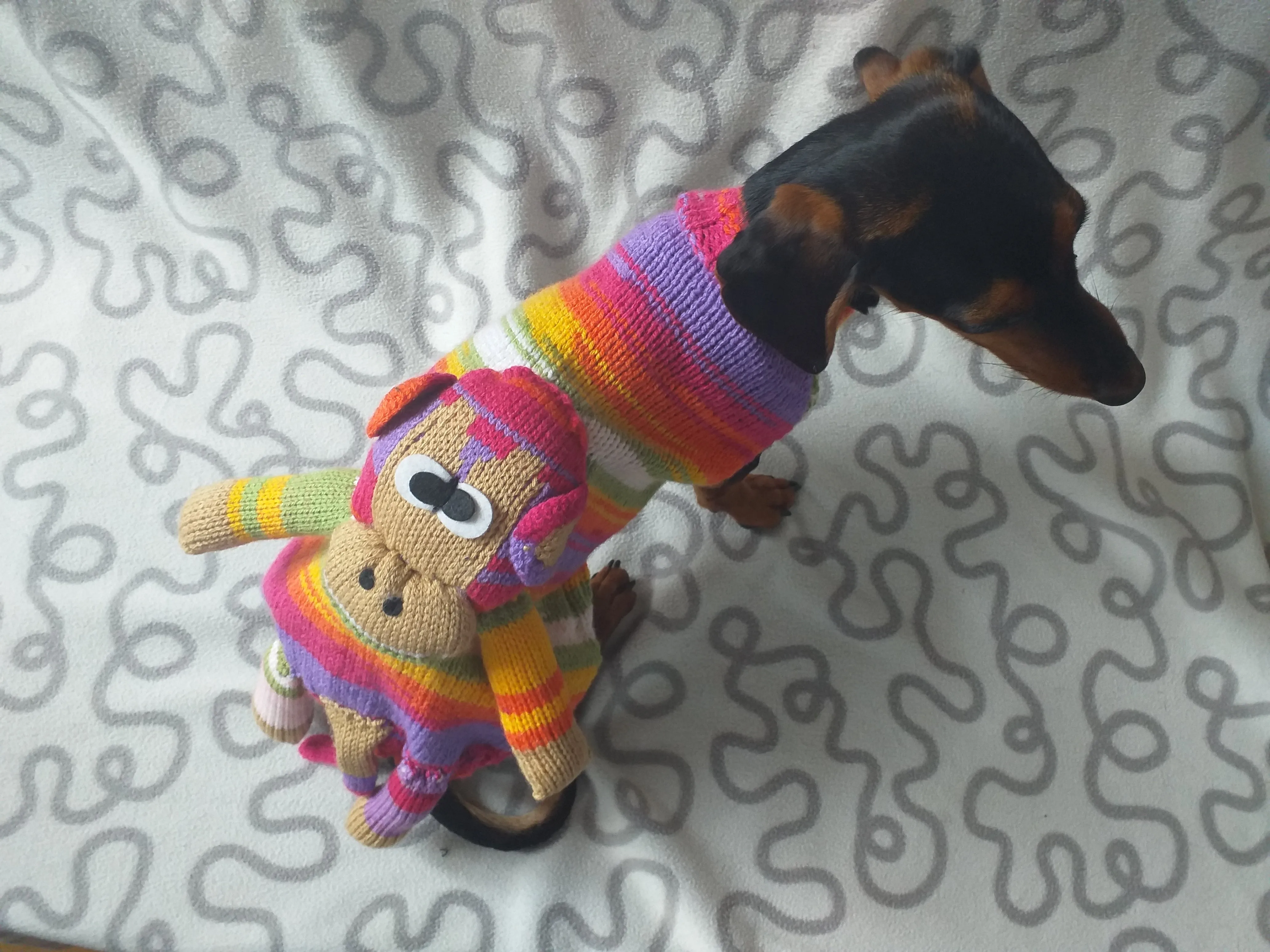 Pet clothes costume with toy monkey, dog sweater monkey, jumper for dachshund monkey