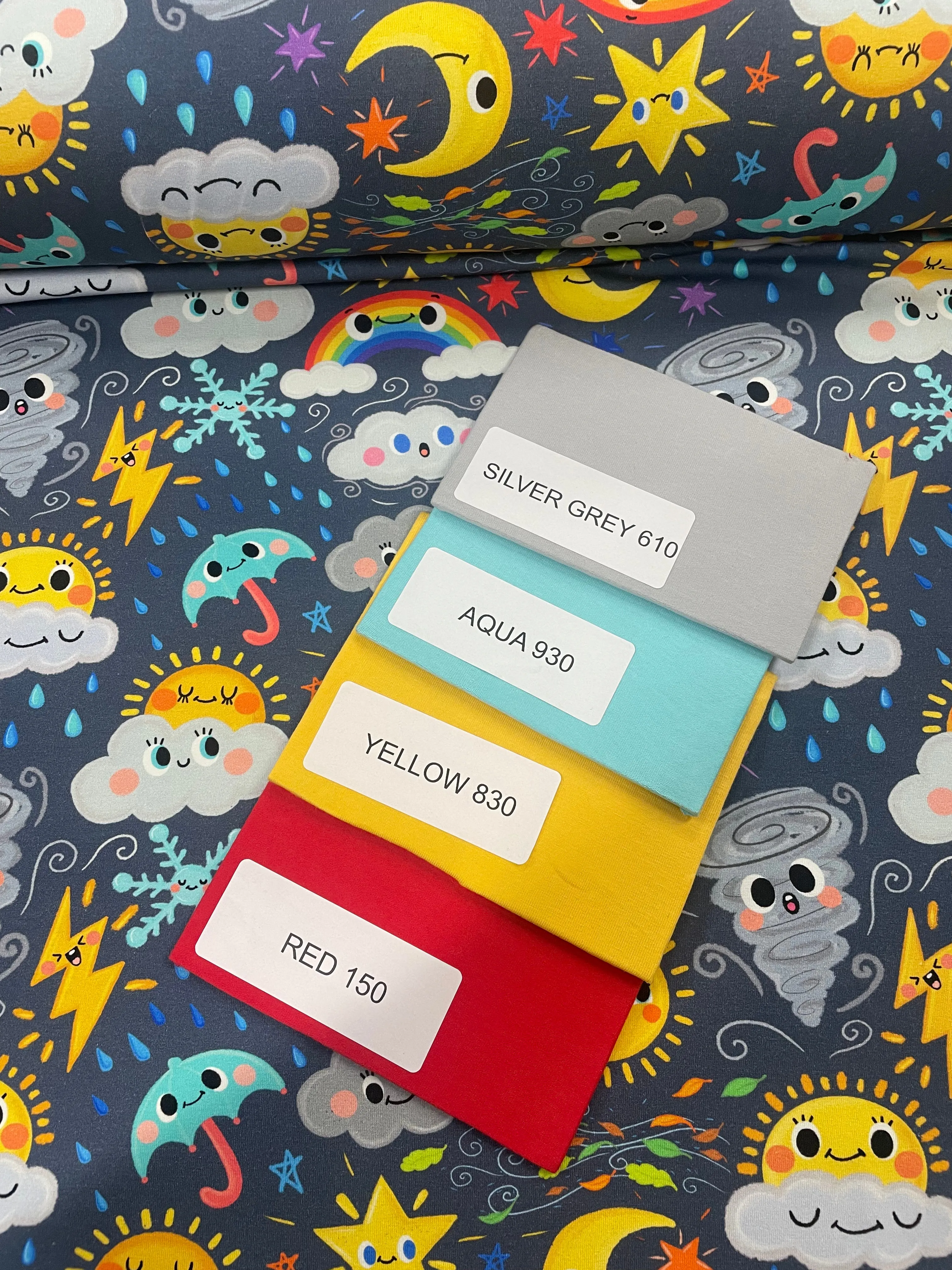 Weather Faces Grey Cotton Jersey Fabric