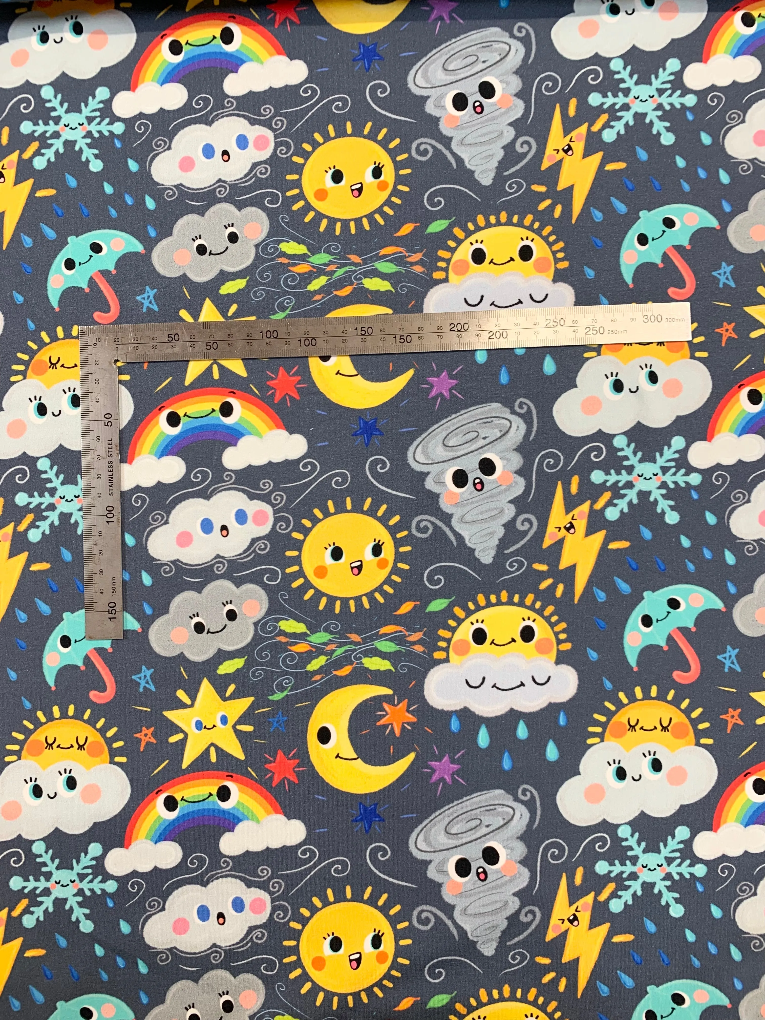 Weather Faces Grey Cotton Jersey Fabric